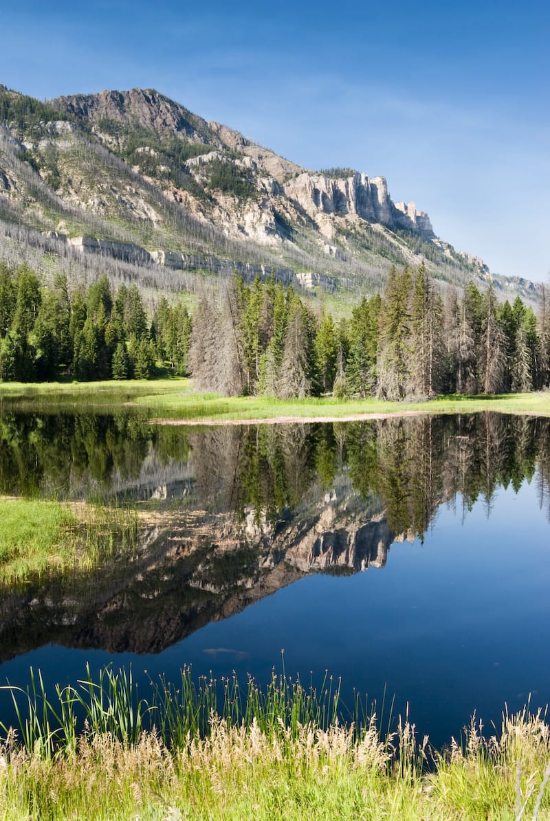 Shoshone National Forest