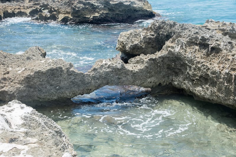 St. Croix tide pools