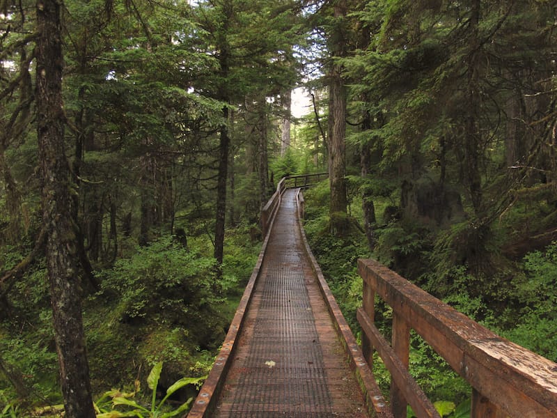 Beaver Falls Trail on Prince of Wales Island