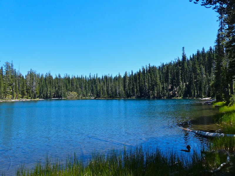 Echo Lake Trail