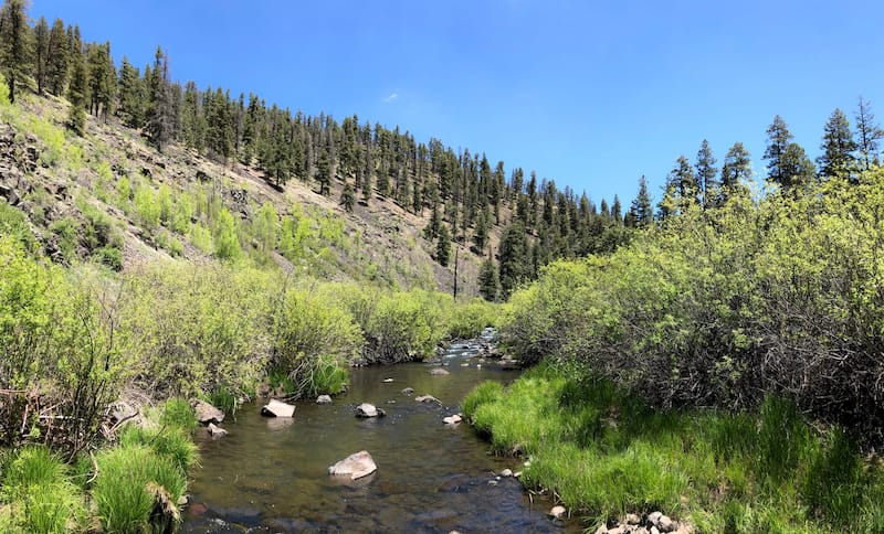 Greer, Arizona