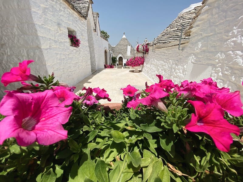 Tour of Alberobello