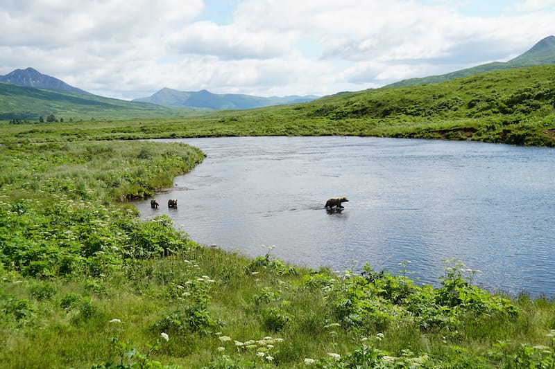 Kodiak Island