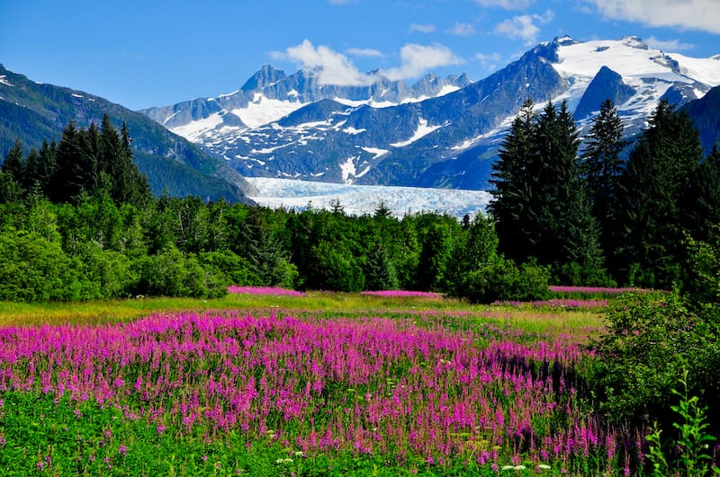 Mendenhall Glacier