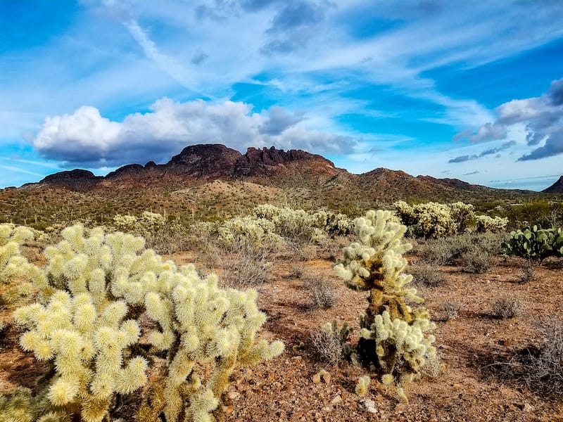 Wickenburg, Arizona