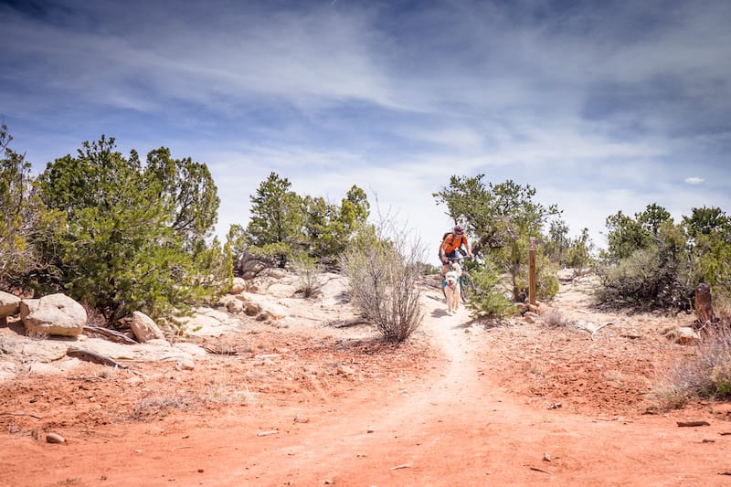 Galisteo - Tara Kenny - Shutterstock.com