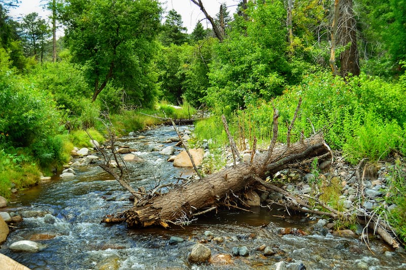 Ruidoso River in Ruidoso