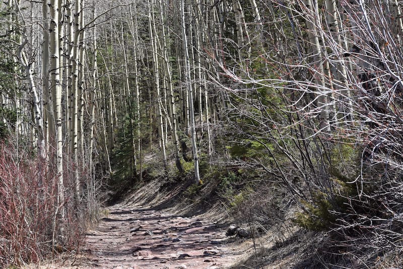 Bear Creek Trail in Telluride in winter