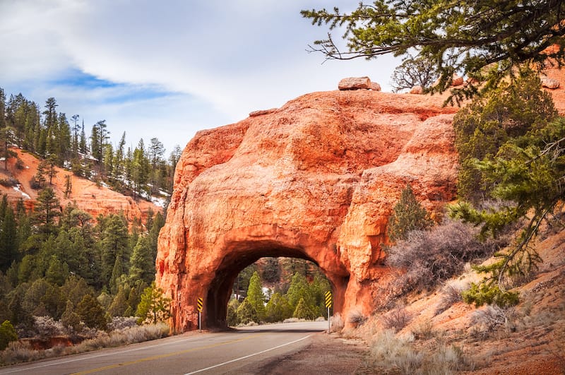 Dixie National Forest