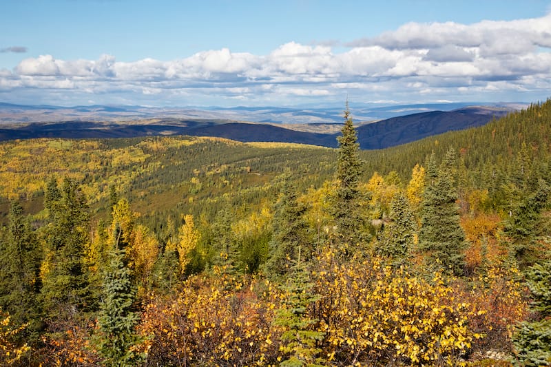 Ester Dome in fall