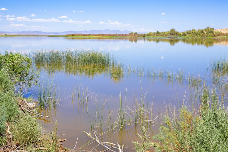 Havasu National Wildlife Refuge