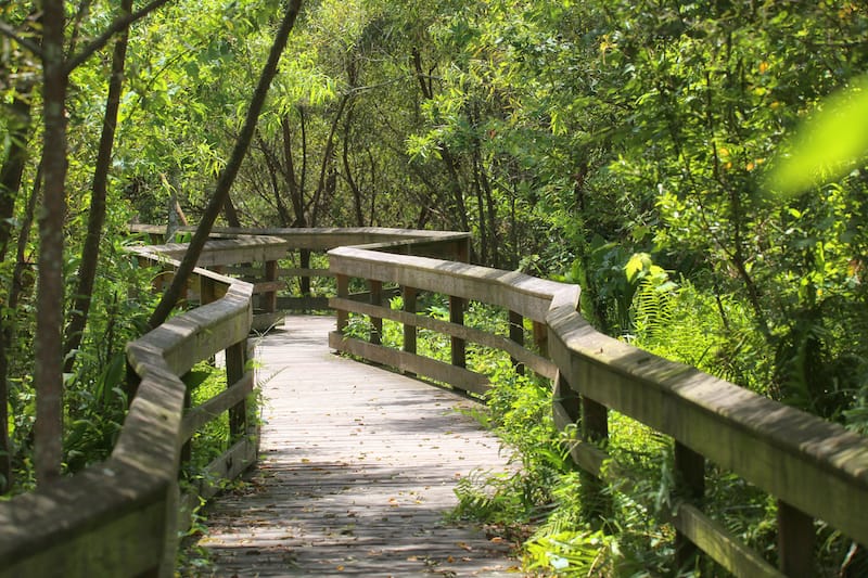 Mead Botanical Gardens in Winter Park