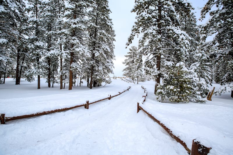 Places for snowshoeing in Bryce Canyon