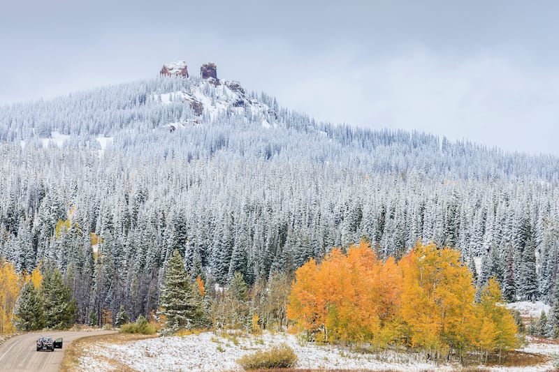 Routt National Forest