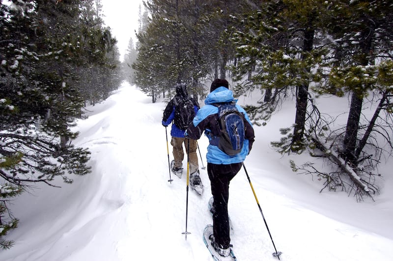 Snowshoeing in Colorado