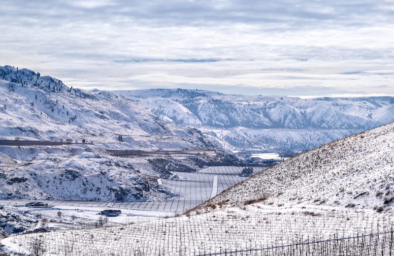 Vineyards just outside of Wenatchee