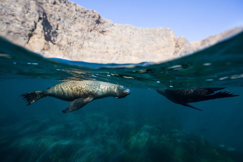 Channel Islands National Park