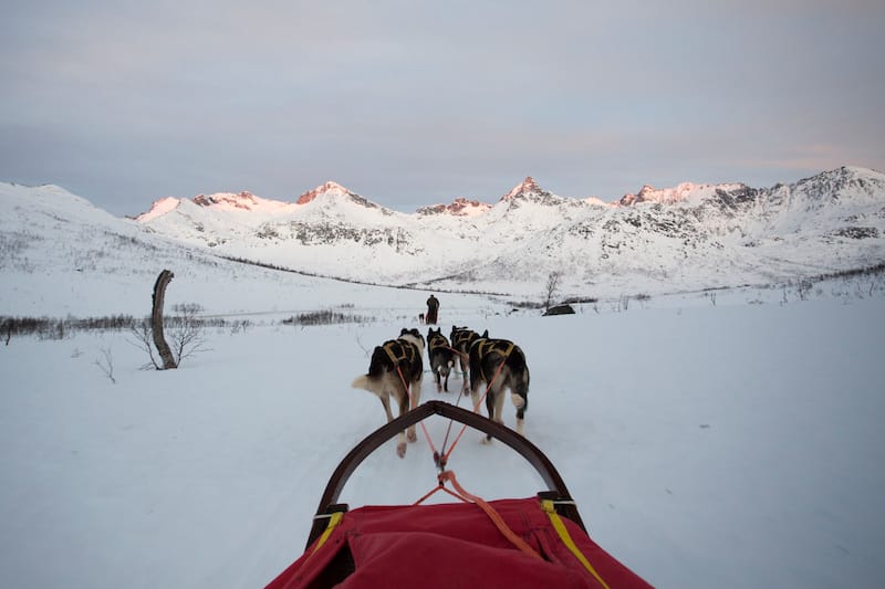 Dog sledding in Tromso