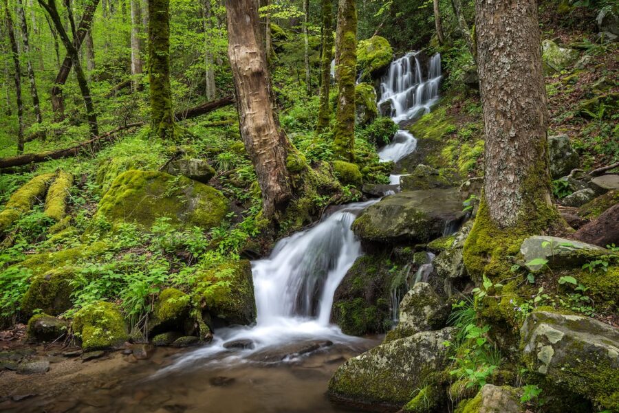 Great Smoky Mountains National Park