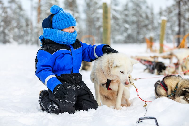Kid and husky in Tromso