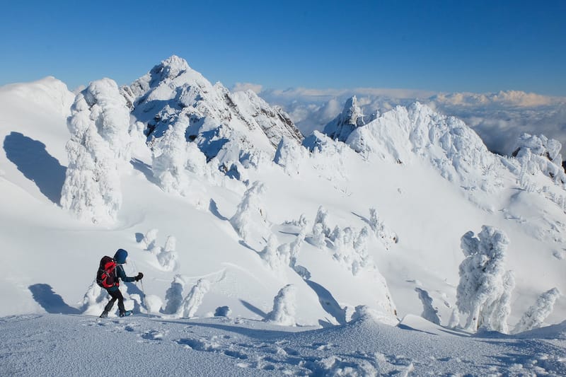 Mt Ellinor in Olympic National Park in winter