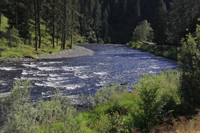 South Fork of the Clearwater River near Stites