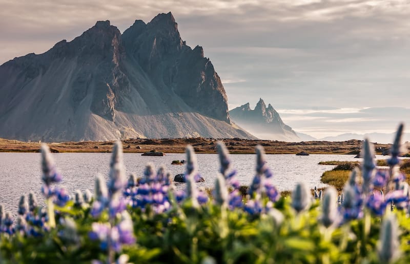 Stokksnes Beach