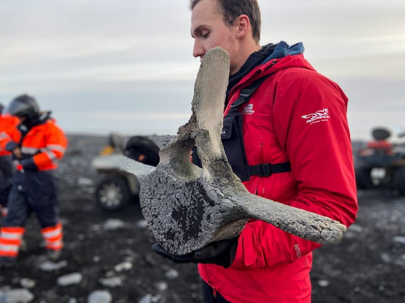 ATV tour in Iceland to Sólheimasandur DC plane crash-4