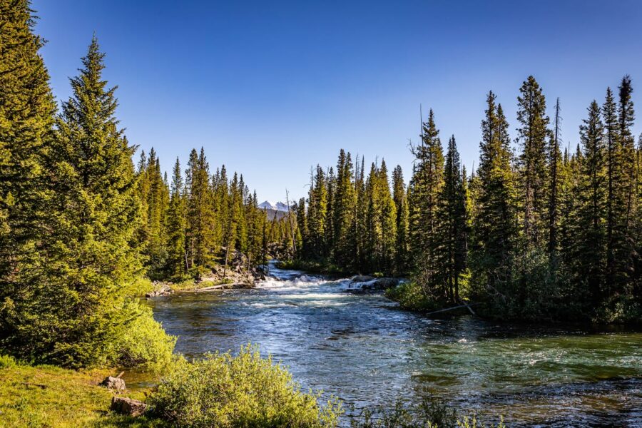 Broadwater River near Cooke City