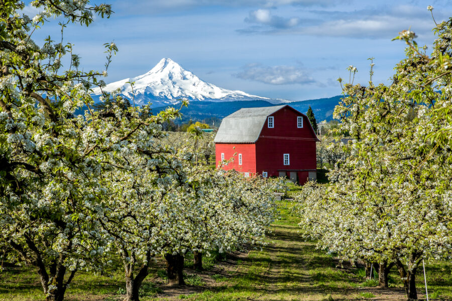 Hood River Valley in Oregon