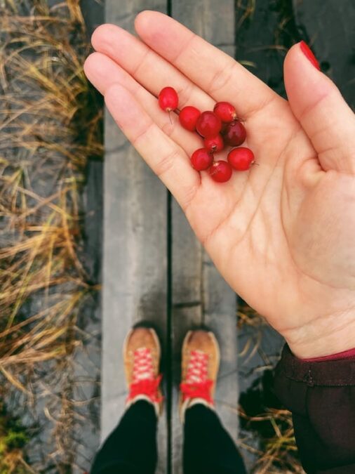 Fall in Finland