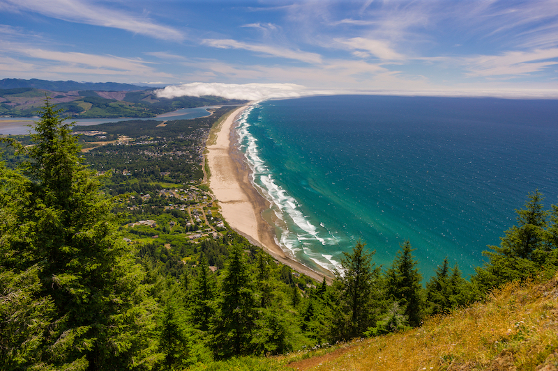 Manzanita - Rob Crandall - Shutterstock.com