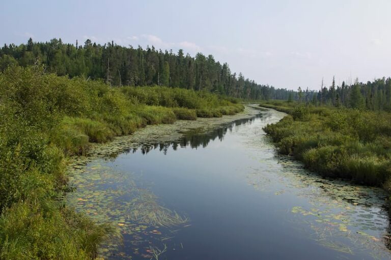 15 Best Small Towns in Minnesota (That You Shouldn't Miss!)