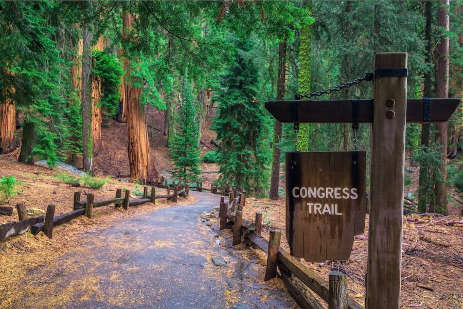 Congress Trail in Sequoia National Park