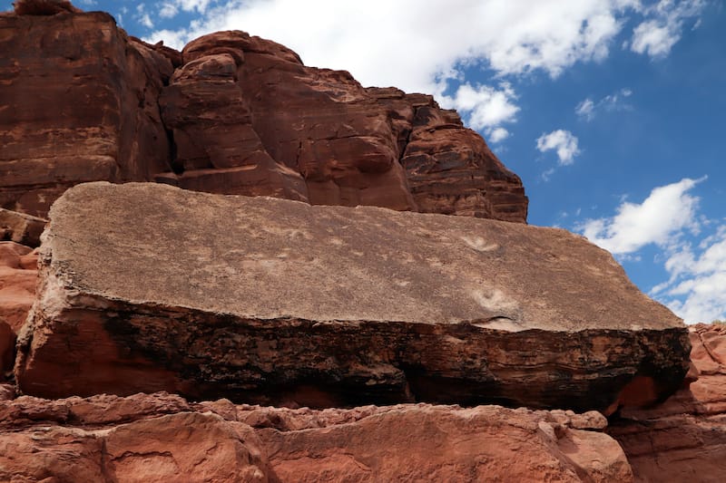 Dinosaur Tracks