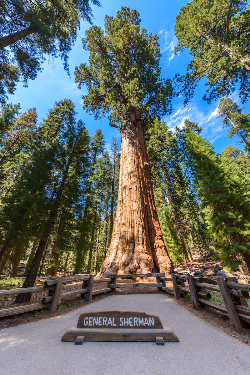 General Sherman Trail