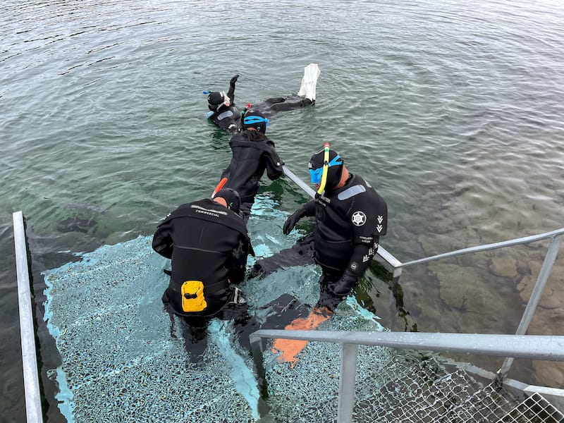 Snorkeling in Silfra Iceland-11