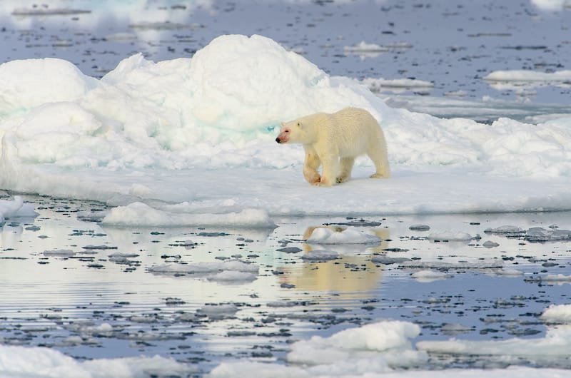 Svalbard in late spring