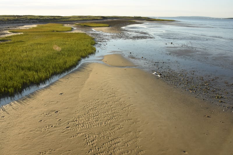 Duxbury Beach