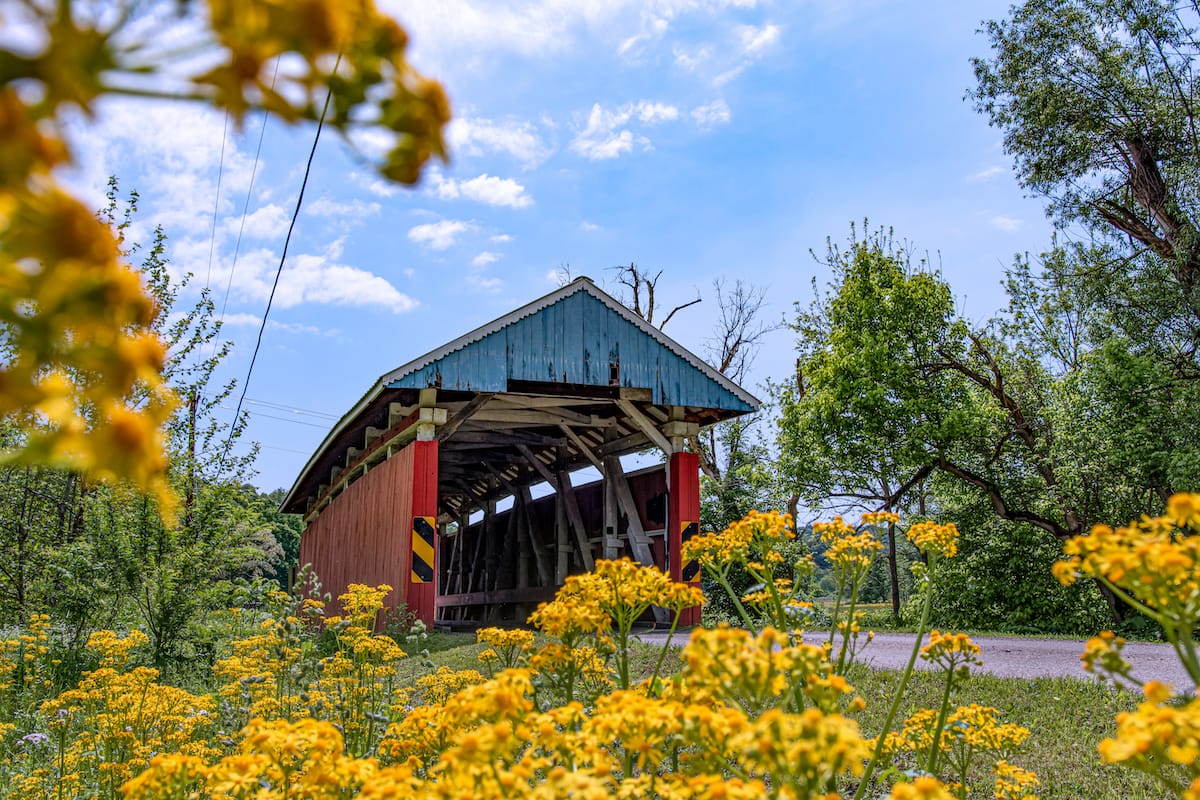 Glenford - JNix - Shutterstock.com