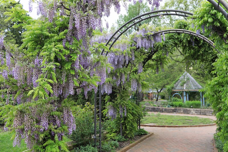 Inniswood Metro Gardens in Westerville