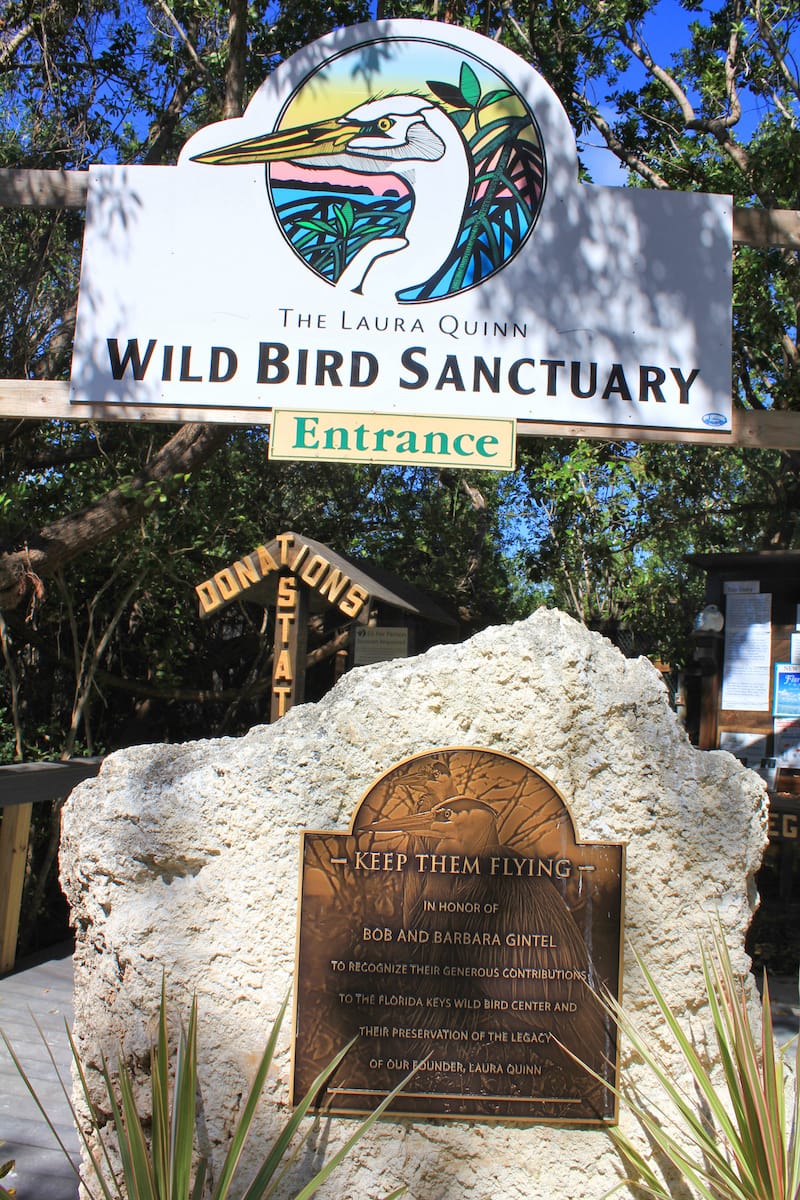 Laura Quinn Wild Bird Sanctuary in Tavernier - Studio Barcelona LLC - Shutterstock.com