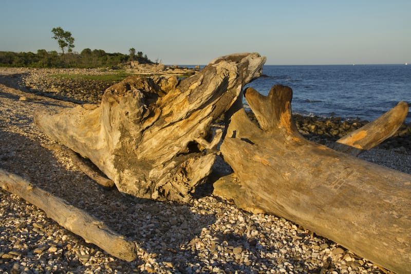 Hammonasset State Park