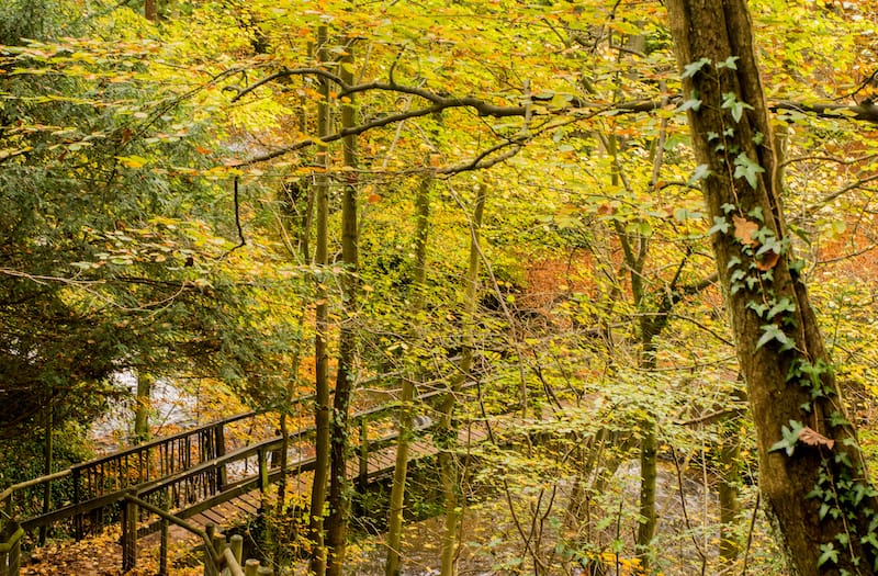 Styal Country Park