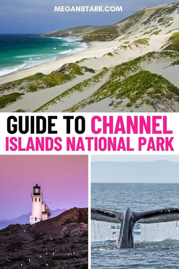 If you're seeking one of California's best gems, don't overlook the Channel Islands! This is a guide for how to travel to Channel Islands National Park. | Things to do in Channel Islands California | Visit California | California National Parks | California nature | California travel guide | USA National Parks | Discover America | California itinerary