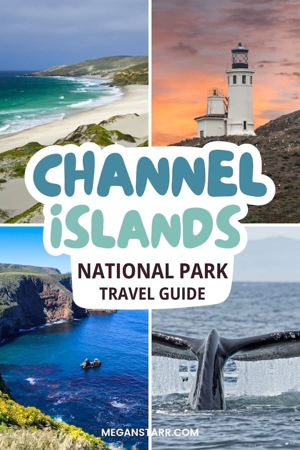 If you're seeking one of California's best gems, don't overlook the Channel Islands! This is a guide for how to travel to Channel Islands National Park. | Things to do in Channel Islands California | Visit California | California National Parks | California nature | California travel guide | USA National Parks | Discover America | California itinerary