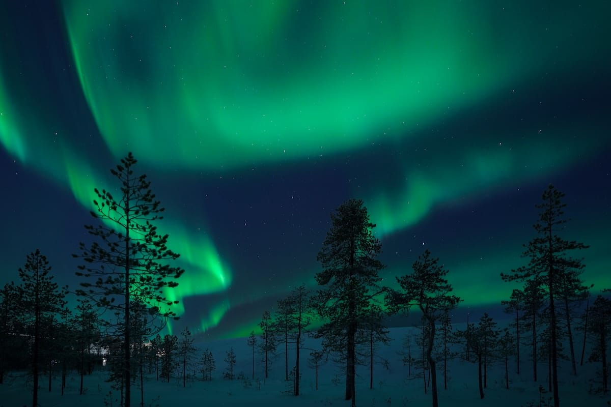 the northern lights over a snowcovered forest with small trees