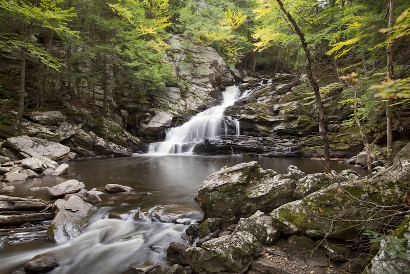 Berkshires in July