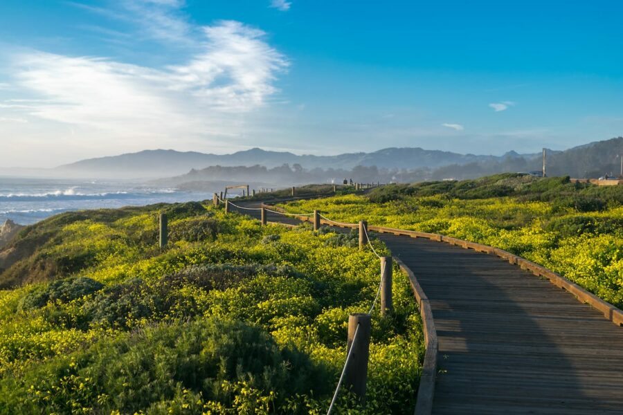 Cambria in July