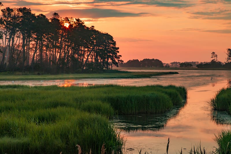 Chincoteague in July
